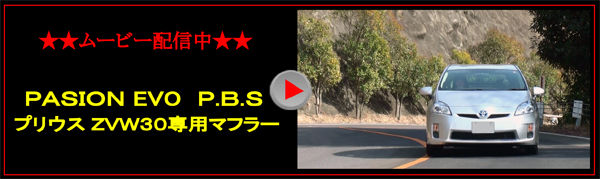 ���[�r�[�z�M�� �v���E�X30