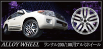 PASION WHEEL